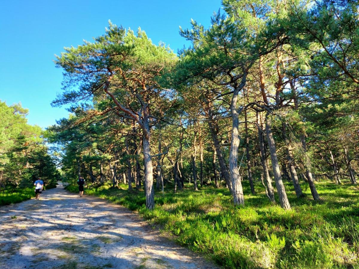 Czysta Greyowka Dom Kryty Strzecha W Gardna Park 빌라 외부 사진